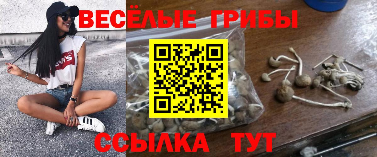 Выкса  Псилоцибиновые грибы Psilocybine cubensis  Вход с VPN  Псилоцибиновые грибы прущие грибы 